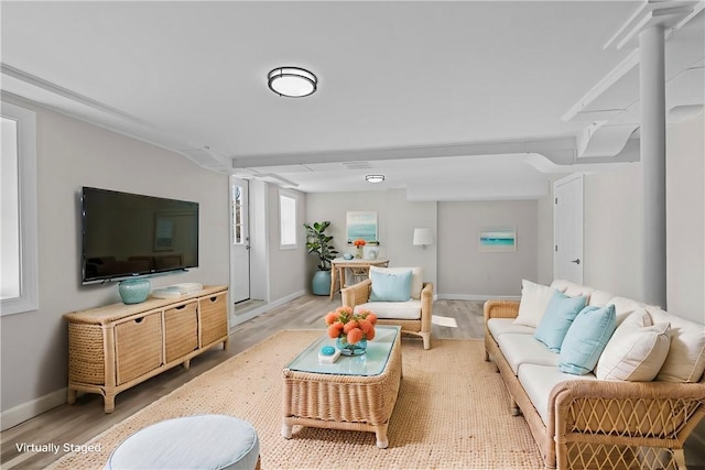 living room featuring light hardwood / wood-style flooring