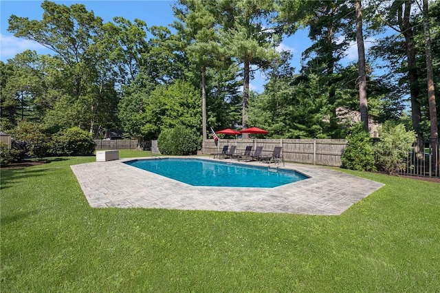 view of pool featuring a patio area and a lawn