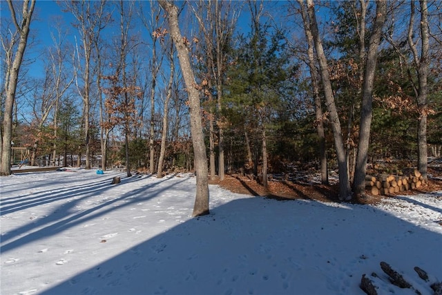 view of yard layered in snow