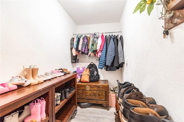 spacious closet featuring light hardwood / wood-style floors