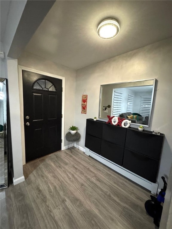 entrance foyer featuring hardwood / wood-style floors