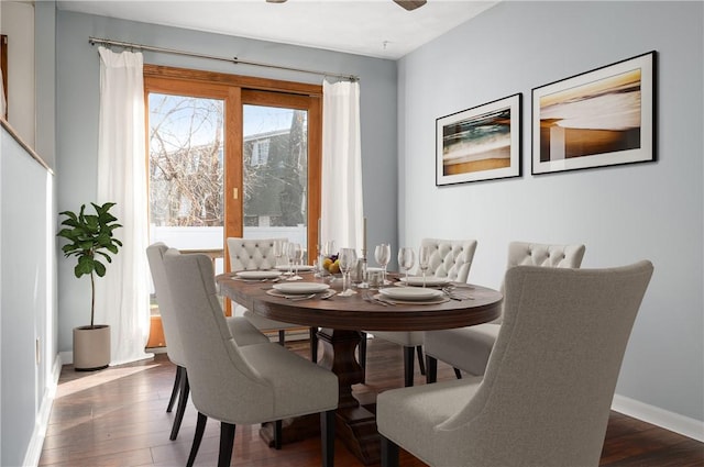 dining room with dark hardwood / wood-style flooring