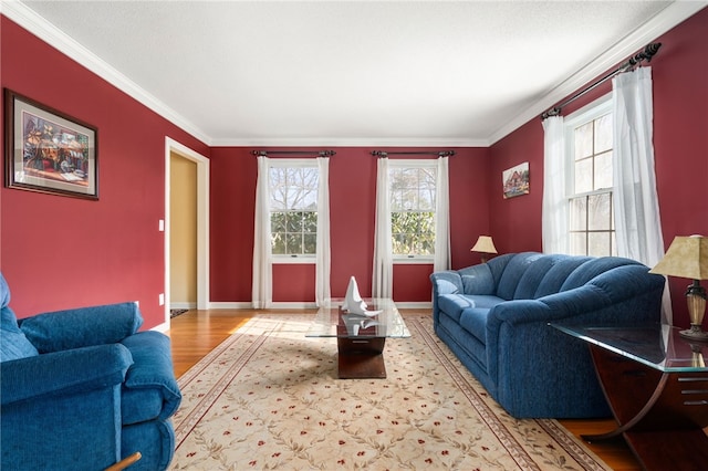 living room featuring ornamental molding and light wood-type flooring