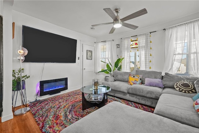 living room featuring ceiling fan and wood-type flooring