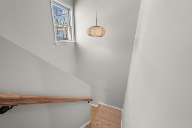 stairway with hardwood / wood-style floors