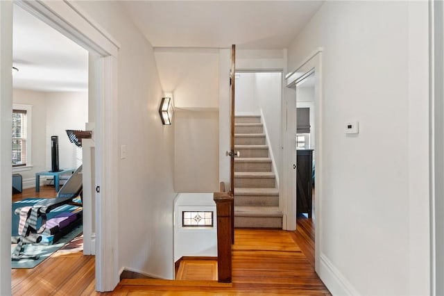 staircase featuring hardwood / wood-style floors