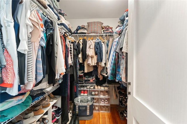 spacious closet with hardwood / wood-style flooring