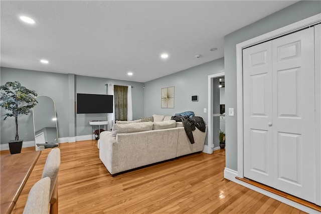 living room featuring light hardwood / wood-style flooring