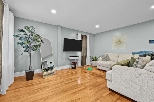 living room featuring light wood-type flooring