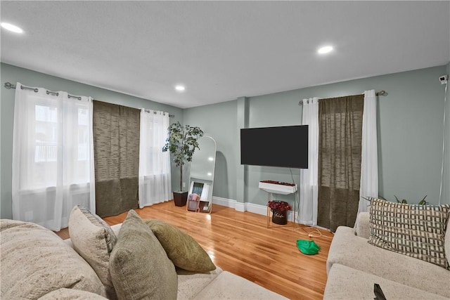 living room with hardwood / wood-style flooring