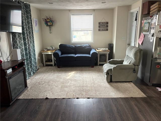 living room featuring dark hardwood / wood-style flooring