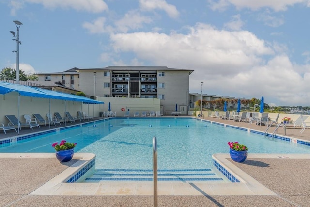 view of swimming pool with a patio