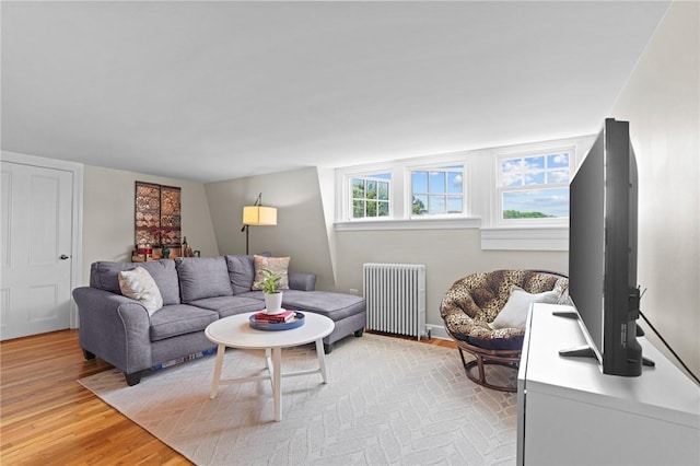 45 Ayrault St Unit 11, Newport, RI 02840 - living room featuring radiator and light hardwood / wood-style flooring