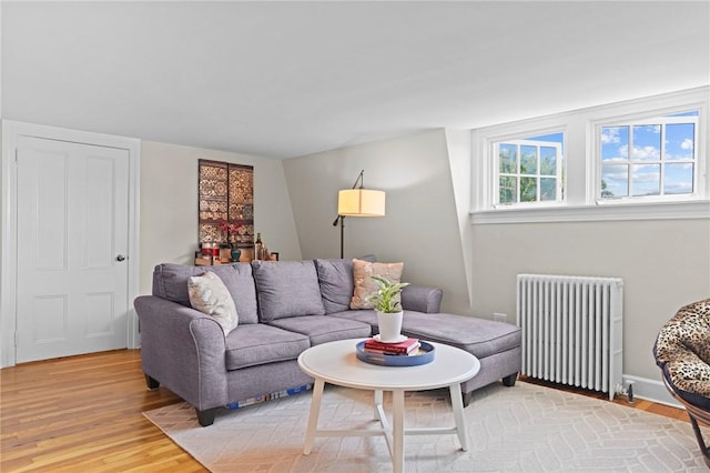 45 Ayrault St Unit 11, Newport, RI 02840 - living room with radiator heating unit and wood-type flooring