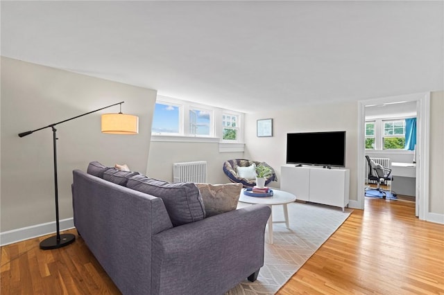 45 Ayrault St Unit 11, Newport, RI 02840 - living room featuring wood-type flooring and radiator