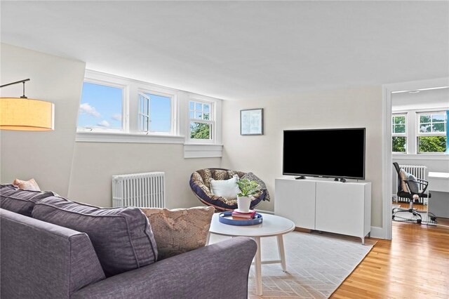 45 Ayrault St Unit 11, Newport, RI 02840 - living room with hardwood / wood-style floors and radiator heating unit