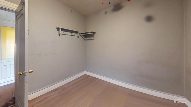 spacious closet with wood-type flooring