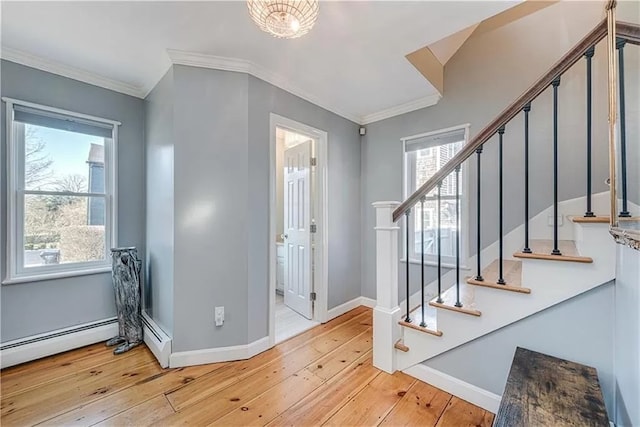 foyer featuring crown molding, a healthy amount of sunlight, and light hardwood / wood-style floors