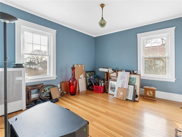 playroom with hardwood / wood-style floors