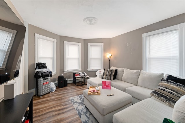 living room with wood-type flooring