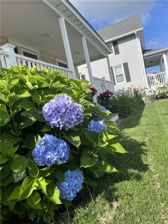 exterior space featuring a yard