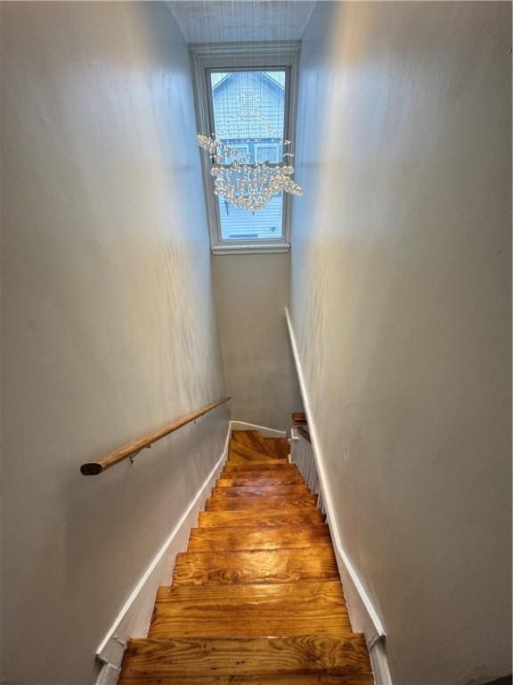 stairway featuring hardwood / wood-style floors