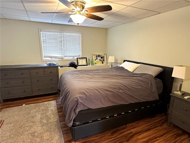 bedroom featuring ceiling fan, a paneled ceiling, and dark hardwood / wood-style floors