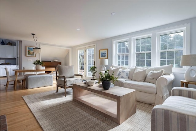 living room featuring a healthy amount of sunlight and light hardwood / wood-style floors