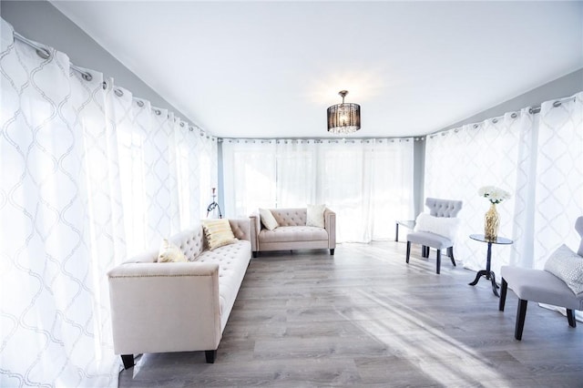 living room featuring wood-type flooring