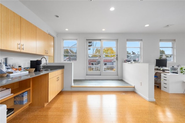 kitchen with sink and light wood-type flooring