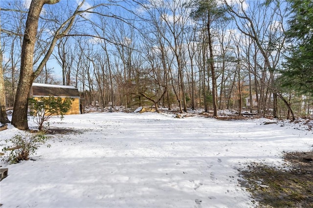 view of yard covered in snow