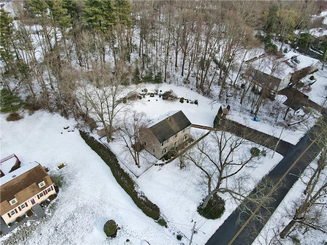 view of snowy aerial view