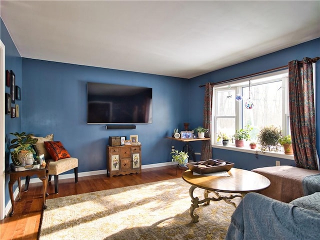 living room featuring wood-type flooring