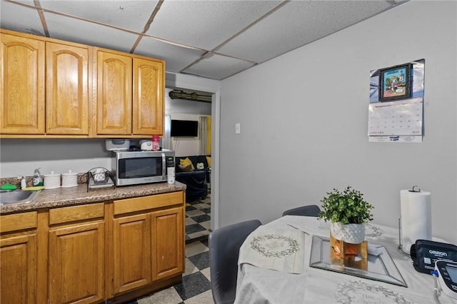 kitchen with sink and a drop ceiling