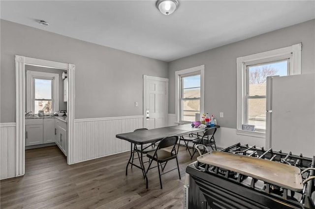 dining area featuring dark wood-type flooring