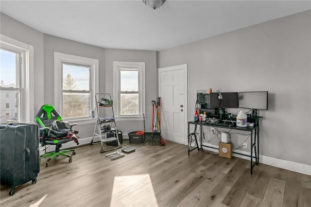 interior space with wood-type flooring