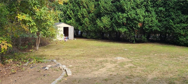 view of yard with a storage shed