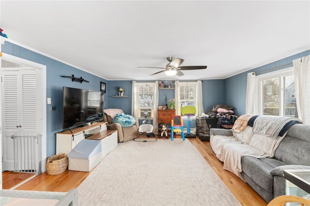 living room with crown molding, ceiling fan, and light hardwood / wood-style flooring