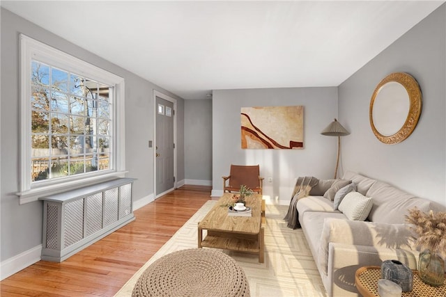 living room with radiator heating unit and hardwood / wood-style floors