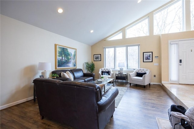 living room with high vaulted ceiling and dark hardwood / wood-style floors