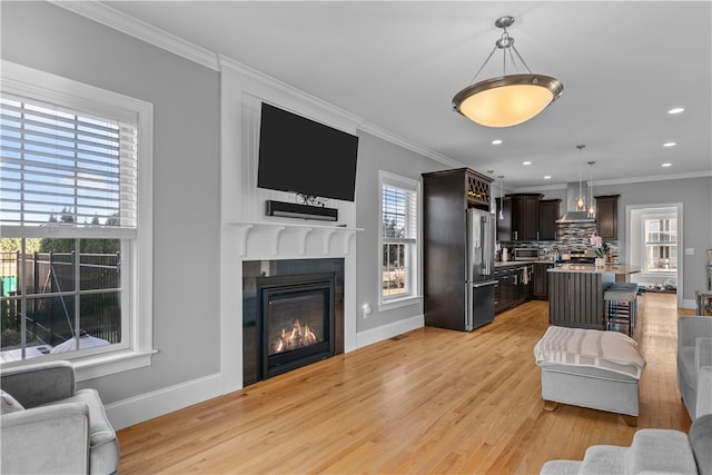 living room featuring crown molding, a fireplace, and light hardwood / wood-style floors