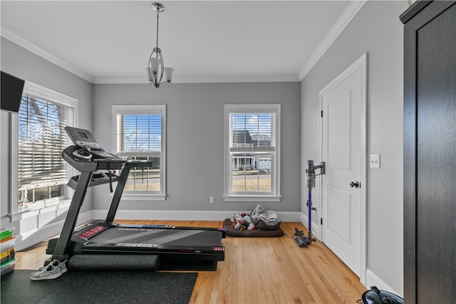 exercise room with hardwood / wood-style flooring, ornamental molding, and plenty of natural light