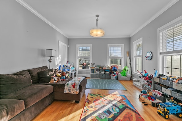 living room featuring crown molding and light hardwood / wood-style flooring