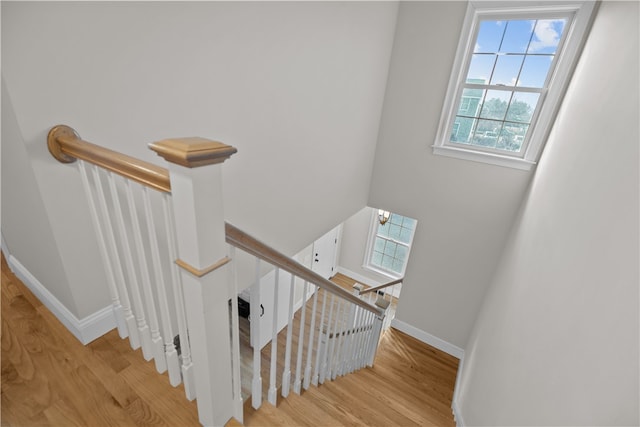 staircase featuring wood-type flooring