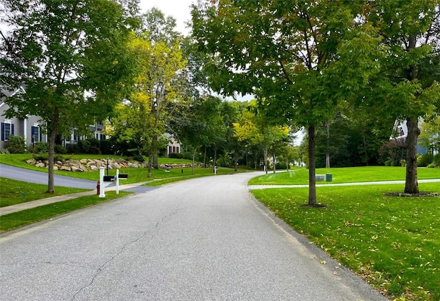 view of road