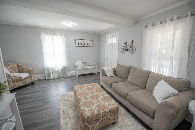 living room featuring beamed ceiling, crown molding, and dark wood-type flooring