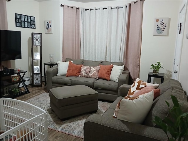 living room with wood-type flooring