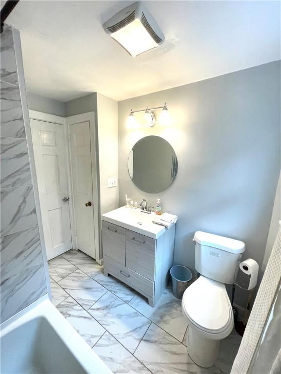 bathroom featuring vanity, toilet, and a bathing tub