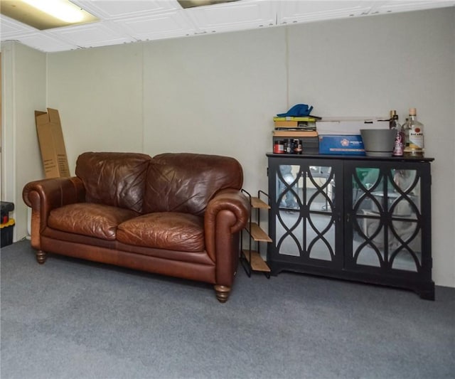 sitting room featuring carpet flooring