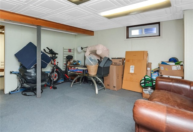 basement with carpet flooring